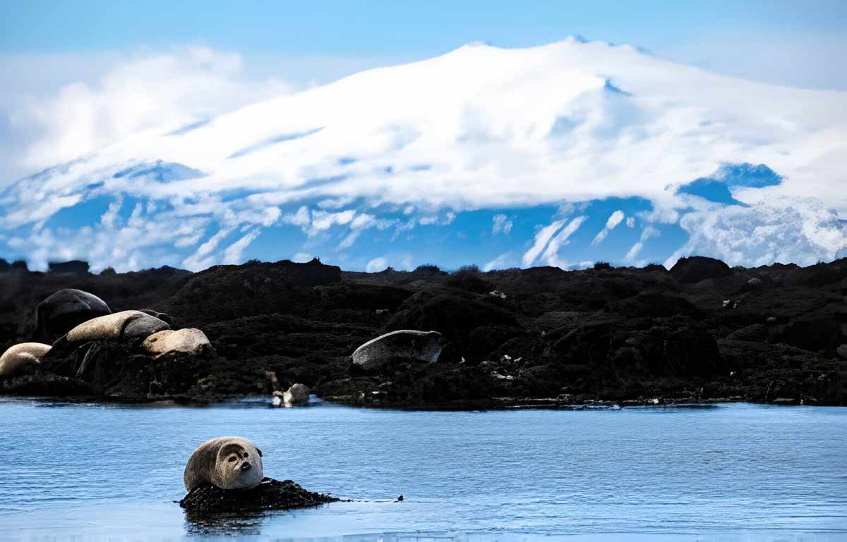 Snaefellsnes & Kirkjufell Tour - Ytri-Tunga